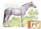 № 444 MC - Horse Breeds 2002
