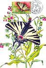 № 459 MC1 - Butterflies and Moths (II) 2003