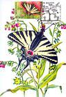 № 459 MC3 - Scarce Swallowtail (Butterfly)