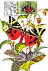 № 460 MC2 - Butterflies and Moths (II) 2003