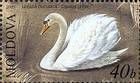 № 481 (0.40 Lei) Mute Swan