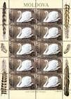 № 481 Kb - From The Red Book of the Republic of Moldova: Birds 2003