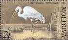 № 482 (2.00 Lei) Great Egret
