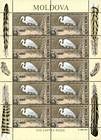 № 482 Kb - From The Red Book of the Republic of Moldova: Birds 2003