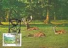 № 4 MC - Codrii Nature Reserve 1992