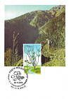 № 501 MC - From The Red Book of the Republic of Moldova: Shrubs 2004