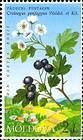 № 503 (2.00 Lei) Small-flowered Black Hawthorn
