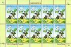 № 503 Kb - From The Red Book of the Republic of Moldova: Shrubs 2004