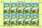 № 504 Kb - From The Red Book of the Republic of Moldova: Shrubs 2004