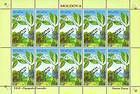 № 504 Kb - From The Red Book of the Republic of Moldova: Shrubs 2004