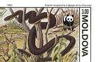 Aesculapian Snake