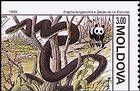 Aesculapian Snake
