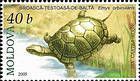 № 524 (0.40 Lei) European Pond Turtle