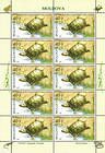 № 524 Kb - From The Red Book of the Republic of Moldova: Fauna - Reptiles and Amphibians 2005
