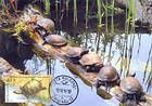 № 528 MC1 - From The Red Book of the Republic of Moldova: Fauna - Reptiles and Amphibians 2005
