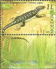 № 529Zf - From The Red Book of the Republic of Moldova: Fauna - Reptiles and Amphibians 2005