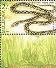 № 531Zf - From The Red Book of the Republic of Moldova: Fauna - Reptiles and Amphibians 2005