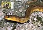 № 53 MC - Endangered Snake Species - World Wide Fund for Nature (WWF) 1993