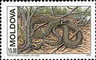 Grass Snake