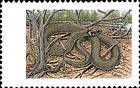 Grass Snake