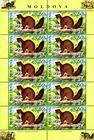 № 559 Kb - From The Red Book of the Republic of Moldova: Fauna - Mammals 2006