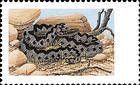 European Viper