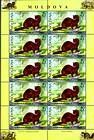 № 561 Kb - From The Red Book of the Republic of Moldova: Fauna - Mammals 2006