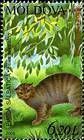 Wildcat
