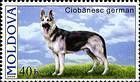 № 565 (0.40 Lei) German Shepherd