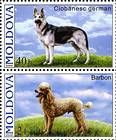 № 565+567Zd - Pedigree Dogs 2006
