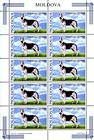 № 565 Kb - German Shepherd