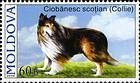 № 566 (0.60 Lei) Rough Collie
