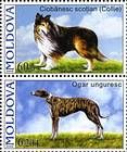 № 566+568Zd (№566+№568)