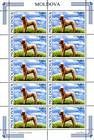 № 567 Kb - Standard Poodle
