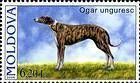 № 568 (6.20 Lei) Magyar Agár (Hungarian Greyhound)