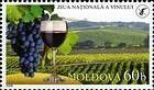 Grapes, Wine and Vineyard