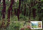 Codrii Nature Reserve