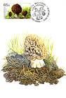 № 578 MC - From The Red Book of the Republic of Moldova: Edible Mushrooms (III) 2007