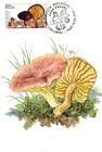 № 579 MC - From The Red Book of the Republic of Moldova: Edible Mushrooms (III) 2007
