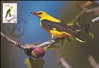 № 57 MC2 - Eurasian Golden Oriole