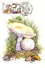 № 580 MC - From The Red Book of the Republic of Moldova: Edible Mushrooms (III) 2007