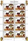 № 581 Kb - From The Red Book of the Republic of Moldova: Edible Mushrooms (III) 2007