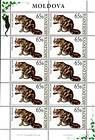 № 586 Kb - Domestic Cats 2007