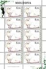 № 589 Kb - Domestic Cats 2007
