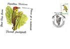Green Woodpecker