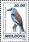 Common Roller