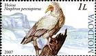 № 591 (1.00 Lei) Egyptian Vulture (Neophron Percnopterus)