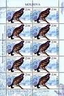 № 592 Kb - Păsări dispărute în Moldova (din Colecţia Muzeului Naţional de Etnografie şi Istorie Naturală) 2007