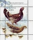 № Block 37 (594) - Păsări dispărute în Moldova (din Colecţia Muzeului Naţional de Etnografie şi Istorie Naturală) 2007