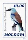 Common Roller